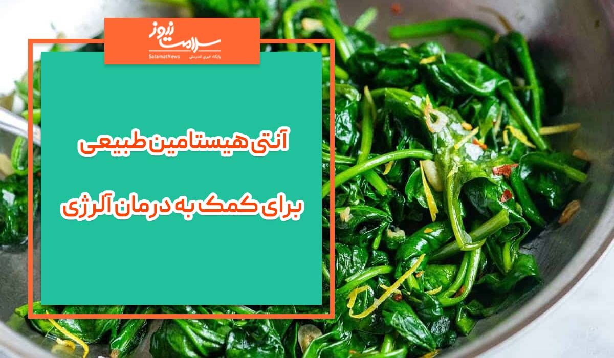 آنتی هیستامین طبیعی برای کمک به درمان آلرژی آنتی هیستامین طبیعی برای کمک به درمان آلرژی