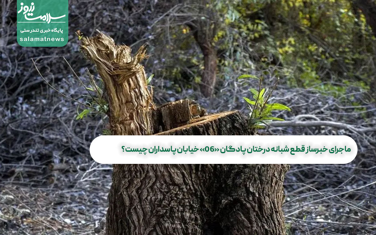 ماجرای خبرساز قطع شبانه درختان پادگان «۰۶» خیابان پاسداران چیست؟  ماجرای خبرساز قطع شبانه درختان پادگان «۰۶» خیابان پاسداران چیست؟