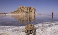 "سدسازی بی‌رویه در حوضه آبریز ارومیه" باعث مرگ دریاچه و تشدید فرونشست منطقه شده است
