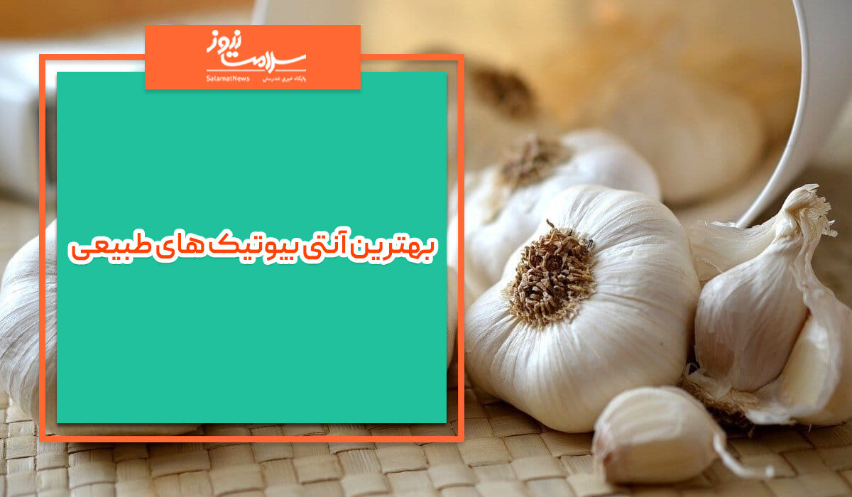 بهترین آنتی بیوتیک های طبیعی بهترین آنتی بیوتیک های طبیعی