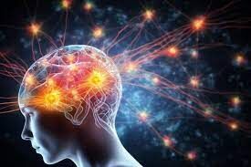 دیابت مغز را تا ۴ سال پیرتر میکند دیابت مغز را تا ۴ سال پیرتر میکند