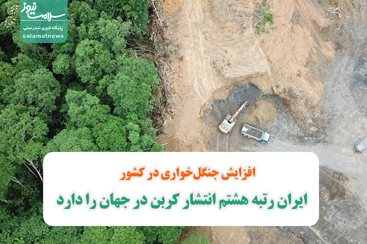 افزایش جنگل‌خواری در کشور/ ایران رتبه هشتم انتشار کربن در جهان را دارد