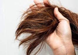 چگونه از آسیبدیدگی موها پیشگیری کنیم؟ چگونه از آسیبدیدگی موها پیشگیری کنیم؟