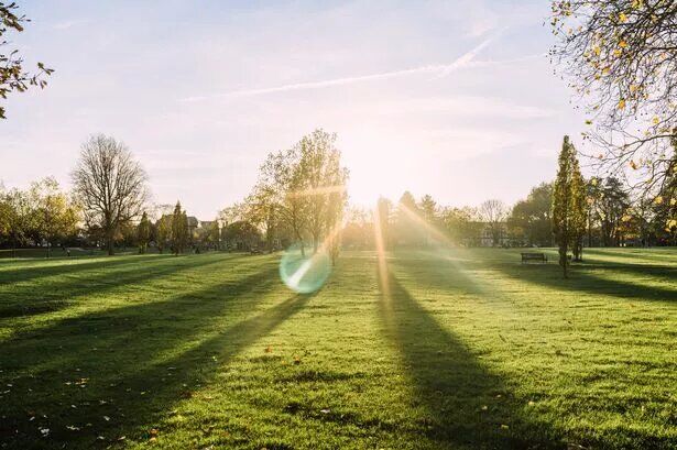 مشاهده مناظر طبیعی؛ مسکنی جدید برای کاهش درد مشاهده مناظر طبیعی؛ مسکنی جدید برای کاهش درد