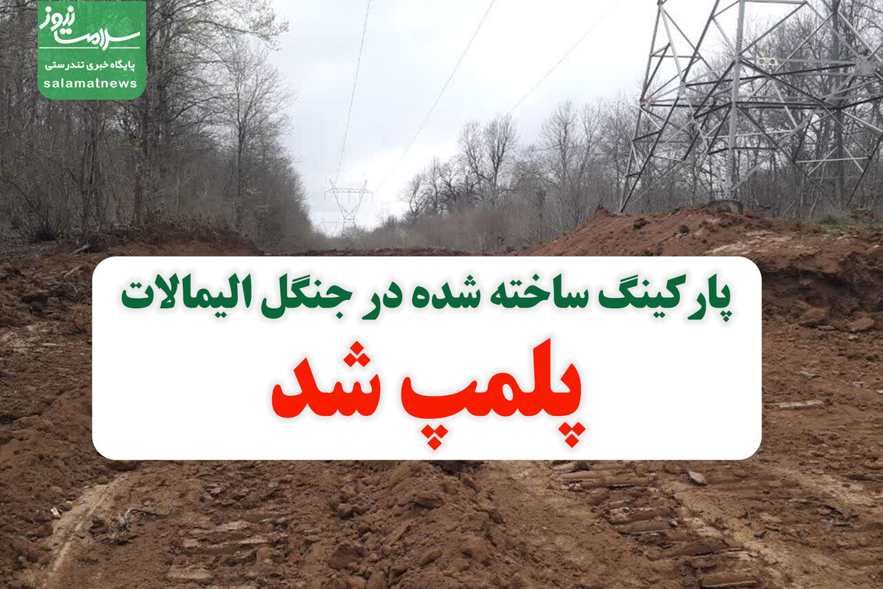 پلمپ پارکینگ ساخته شده در جنگل الیمالات و تشکیل پرونده تخلف پلمپ پارکینگ ساخته شده در جنگل الیمالات و تشکیل پرونده تخلف