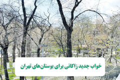 خواب جدید زاکانی برای بوستان‌های تهران