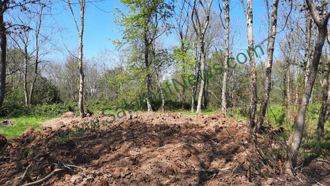 نابودی درختان وتخریب خاک هیرکانی در "پارک جنگلی بزچفت" مازندران برای استقرار کانکس نگهبانی/ طرح های گردشگری جنگل ها را می خورند