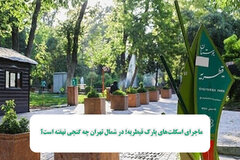 ماجرای اسکلت‌های پارک قیطریه؛ در شمال تهران چه گنجی نهفته است؟
