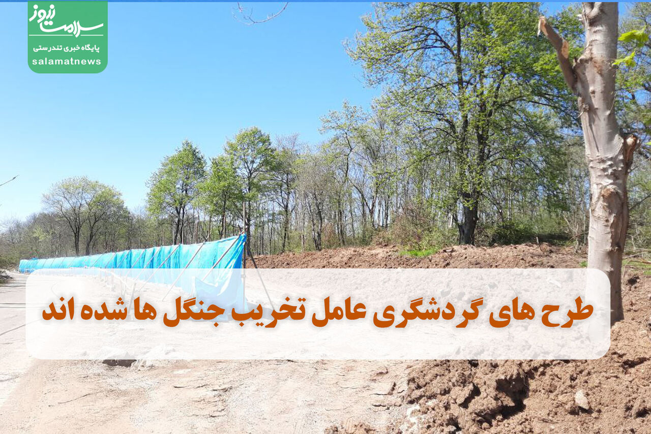 نابودی درختان وتخریب خاک هیرکانی در "پارک جنگلی بزچفت" مازندران برای استقرار کانکس نگهبانی/ طرح های گردشگری جنگل ها را می خورند