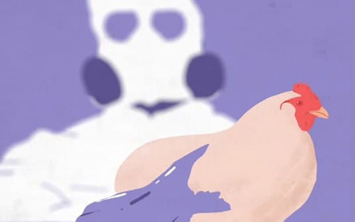 ادعای برخی متخصصان درباره خطر آنفلوآنزای پرندگان ادعای برخی متخصصان درباره خطر آنفلوآنزای پرندگان