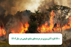 ۱۷۰۰ فقره آتش‌سوزی در عرصه‌های منابع طبیعی در سال 1402