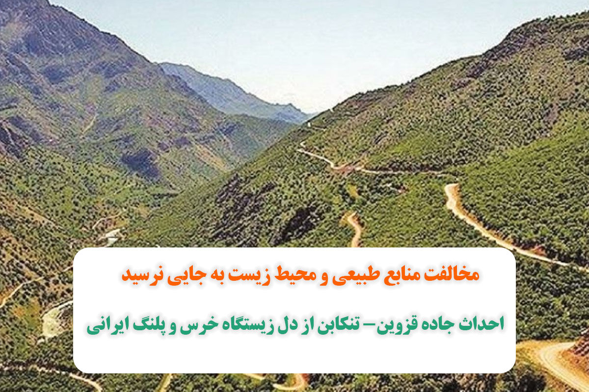 احداث جاده قزوین- تنکابن از دل زیستگاه خرس و پلنگ ایرانی احداث جاده قزوین- تنکابن از دل زیستگاه خرس و پلنگ ایرانی