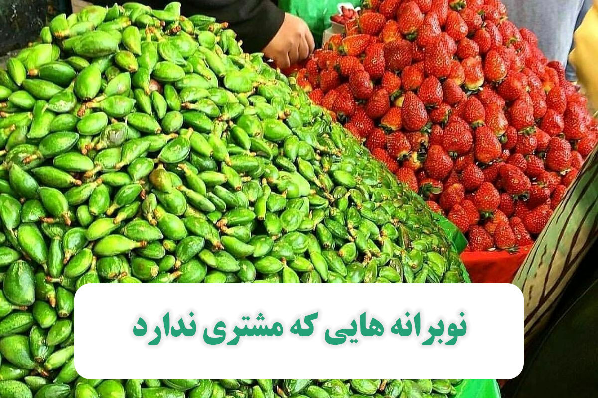 نوبرانه هایی که مشتری ندارد نوبرانه هایی که مشتری ندارد