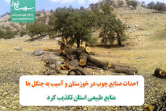 احداث صنایع چوب در خوزستان و آسیب به جنگل ها/ منابع طبیعی استان تکذیب کرد