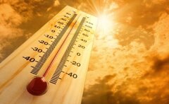 گرمای شدید موجب اختلال در سیستم ایمنی بدن می شود