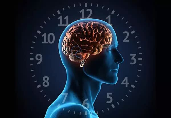 ساعت عجیب دنیا را بشناسید! ساعت عجیب دنیا را بشناسید!