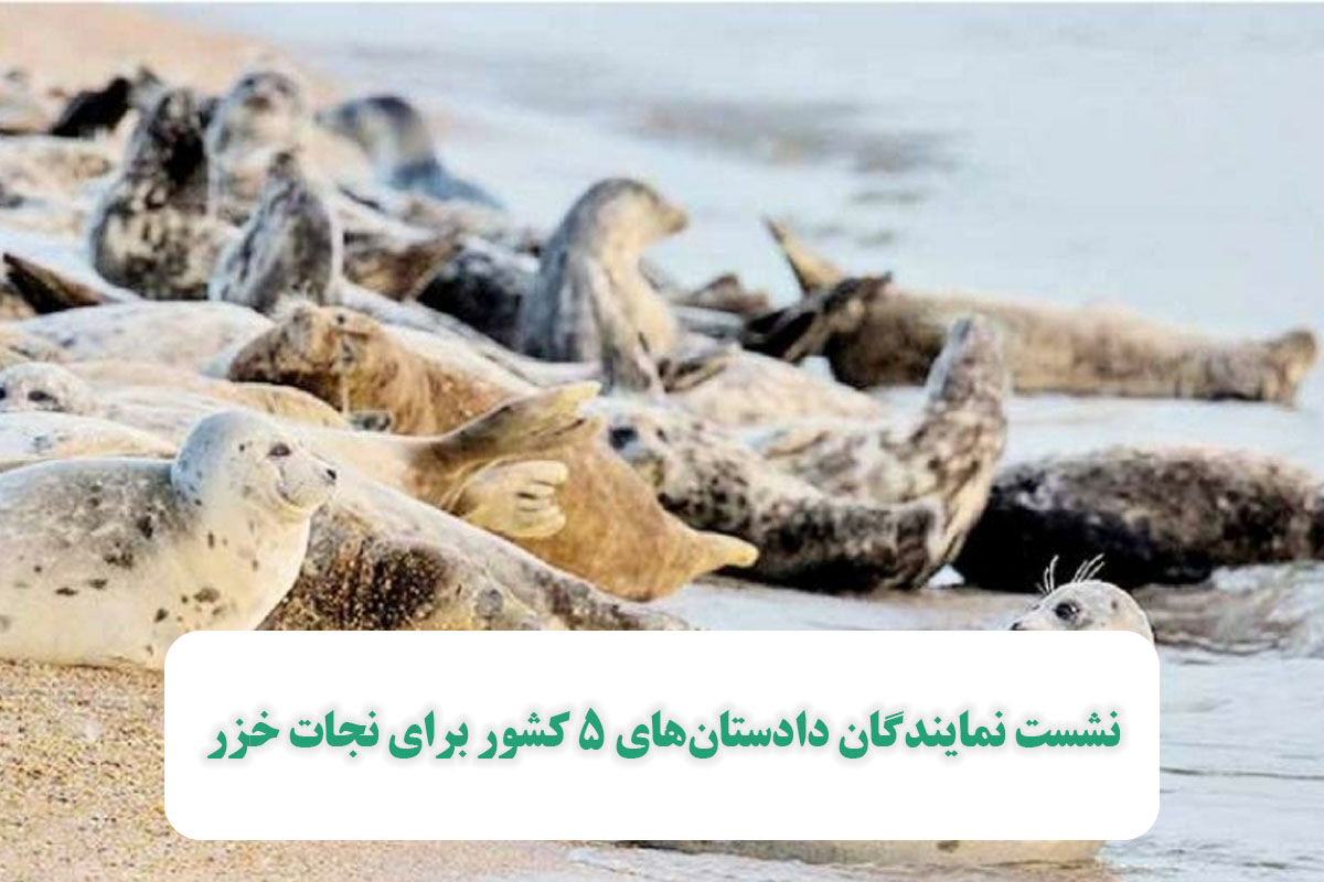 نشست نمایندگان دادستانهای 5 کشور برای نجات خزر نشست نمایندگان دادستانهای 5 کشور برای نجات خزر