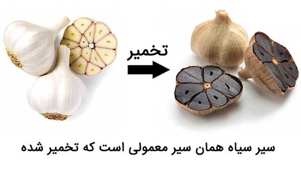 طرز تهیه سیرسیاه - سیر سیاه چگونه تهیه میشود؟