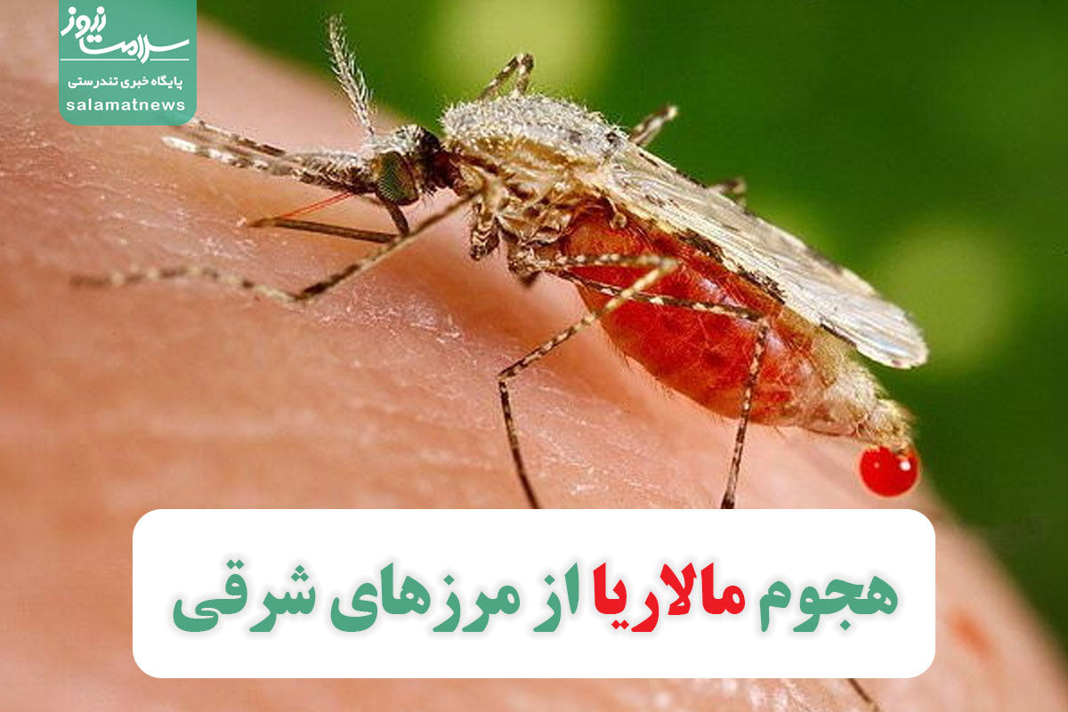 هجوم مالاریا از مرزهای شرقی هجوم مالاریا از مرزهای شرقی