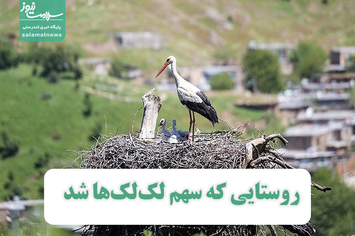 روستایی که سهم لک‌لک‌ها شد