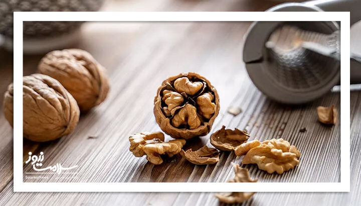 ۶ آجیل مفید برای مادران باردار ۶ آجیل مفید برای مادران باردار