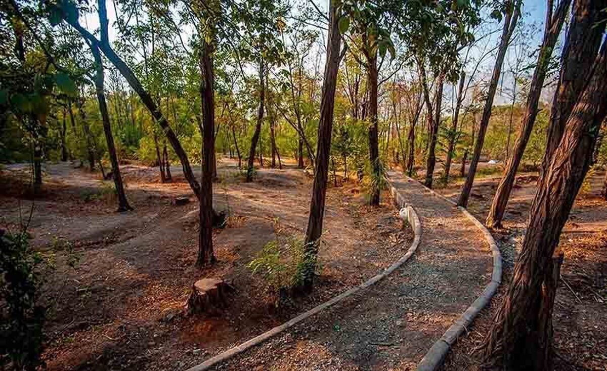ماجرای شکار سنجاب در بوستان چیتگر ماجرای شکار سنجاب در بوستان چیتگر