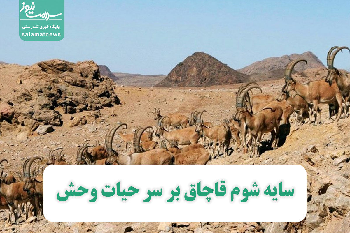 ذخیره رو به نابودی حیات وحش ایران  ذخیره رو به نابودی حیات وحش ایران