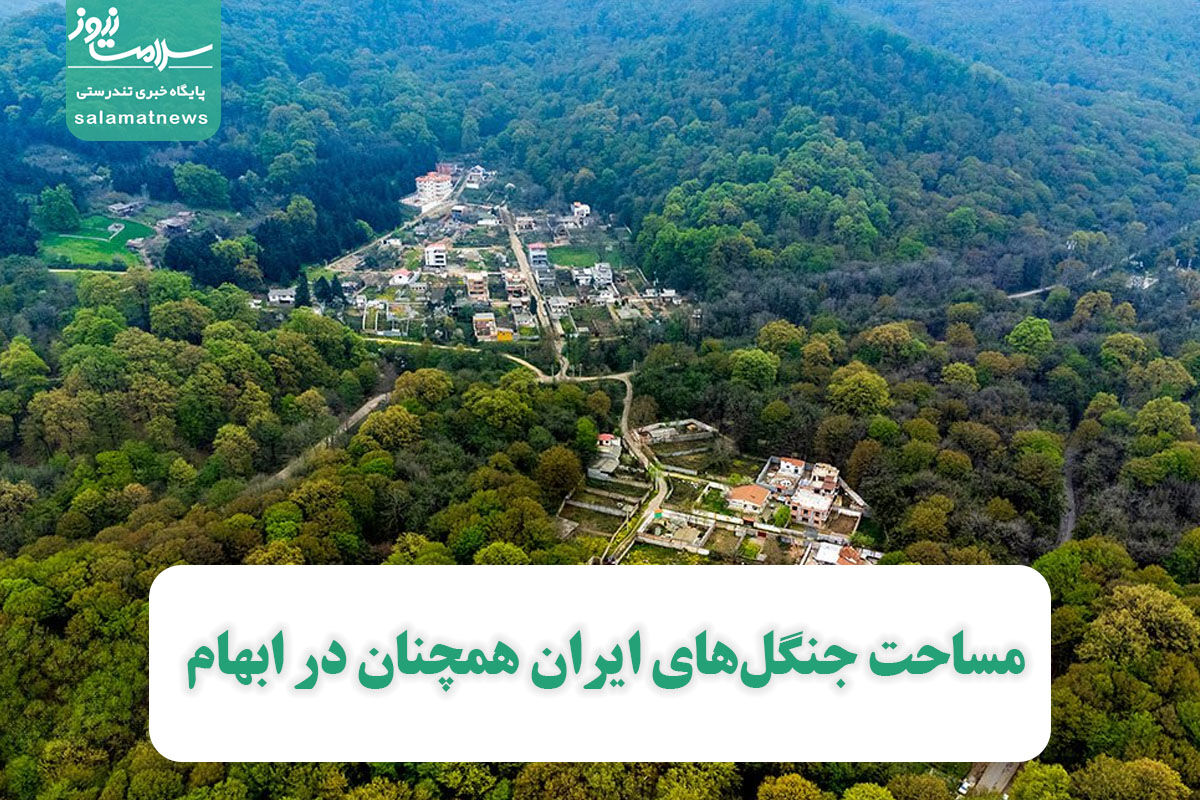 مساحت جنگلهای ایران همچنان در ابهام مساحت جنگلهای ایران همچنان در ابهام