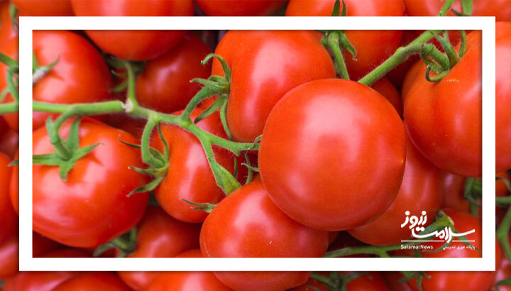 ۱۵ ماده غذایی موثر در آبرسانی و پیشگیری از کمآبی بدن