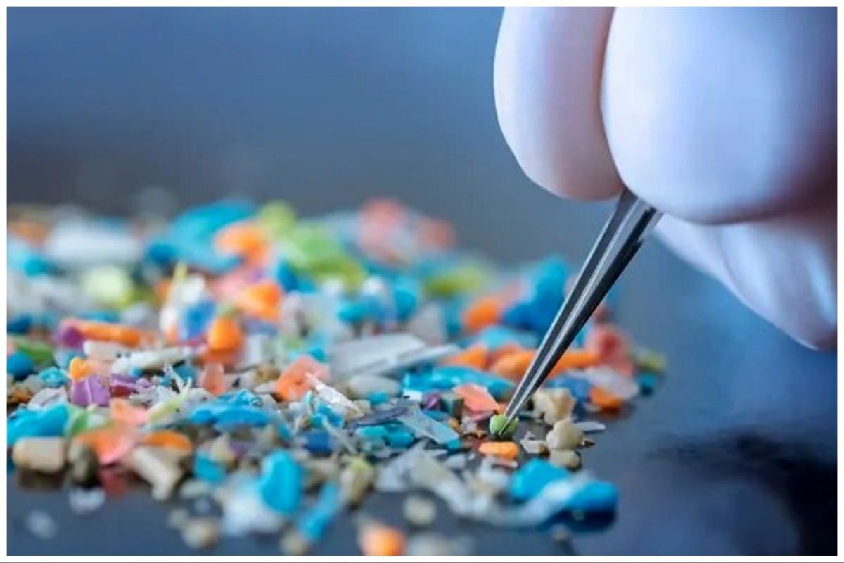 ذرات ریزپلاستیک در خون انسان می تواند سلامت قلب را به خطر بیندازد ذرات ریزپلاستیک در خون انسان می تواند سلامت قلب را به خطر بیندازد