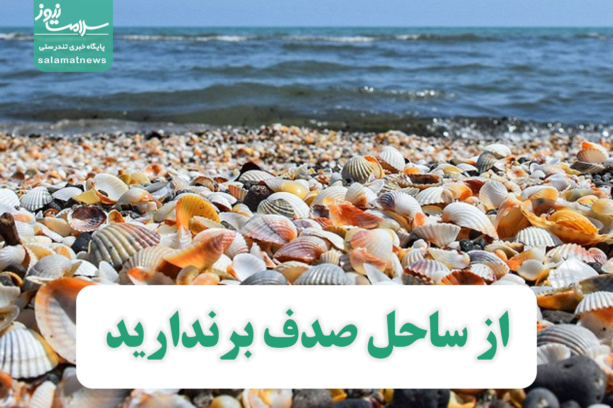از ساحل صدف برندارید از ساحل صدف برندارید
