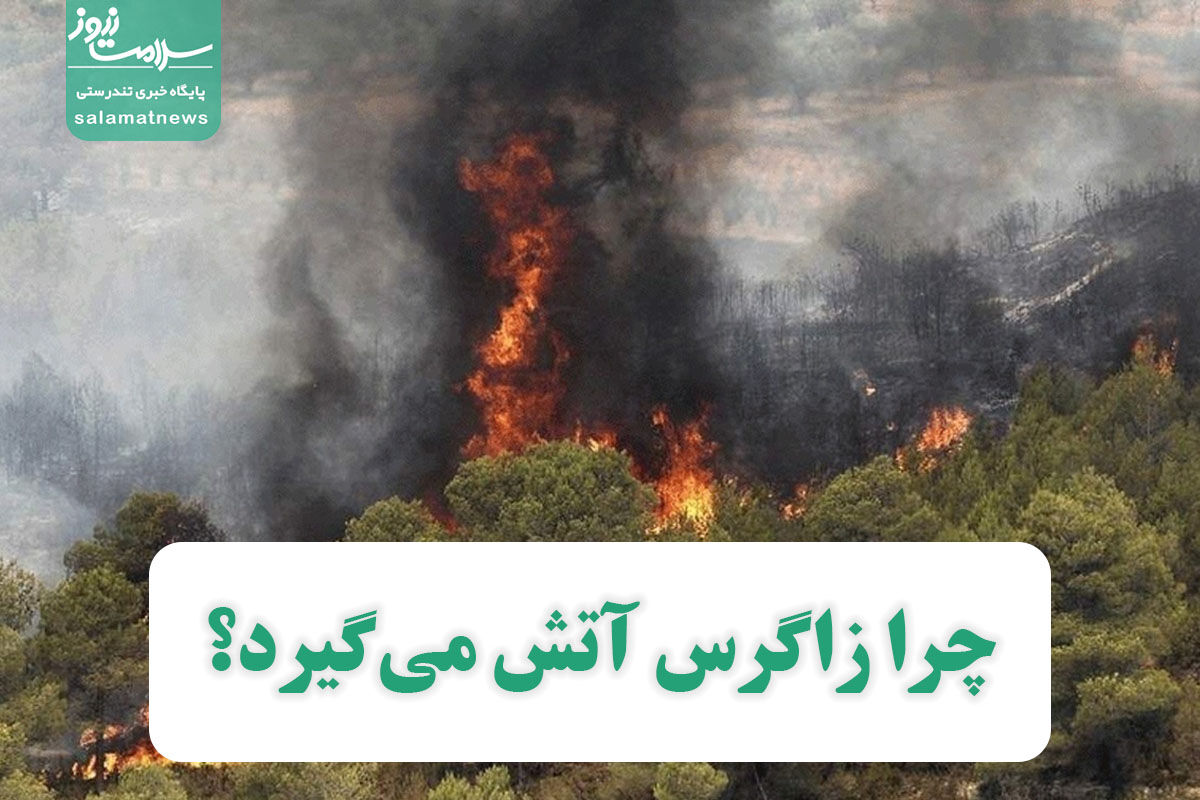 چرا زاگرس آتش میگیرد؟ چرا زاگرس آتش میگیرد؟