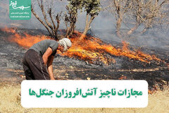 مجازات ناچیز آتش‌افروزان جنگل‌ها