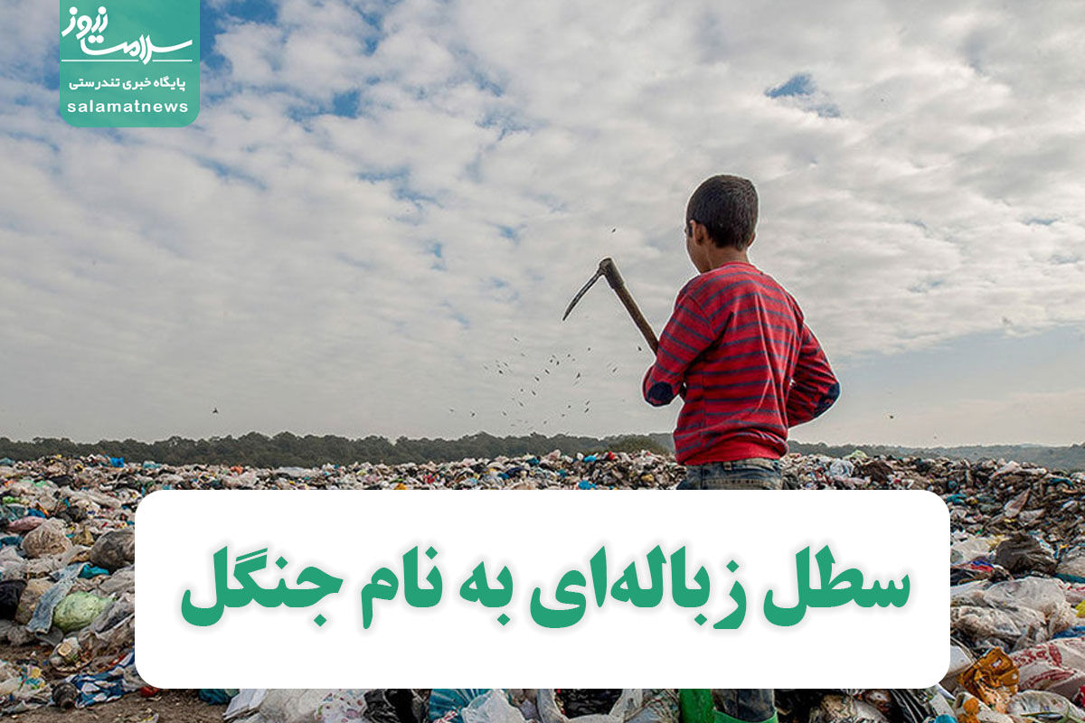 سطل زبالهای به نام جنگل سطل زبالهای به نام جنگل