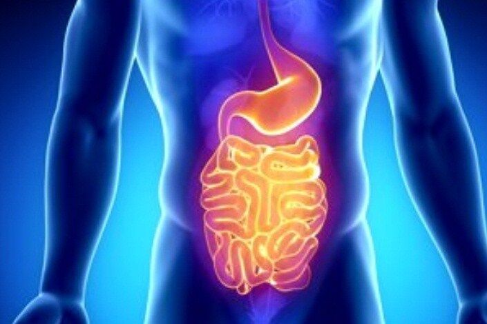 چرا ورزش برای سلامتی روده خوب است؟ چرا ورزش برای سلامتی روده خوب است؟