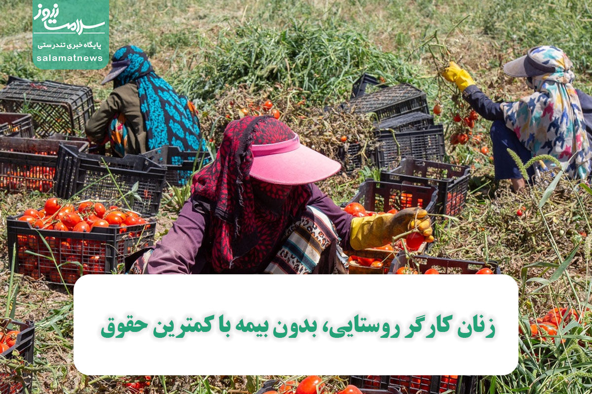 زنان کارگر روستایی، بدون بیمه با کمترین حقوق