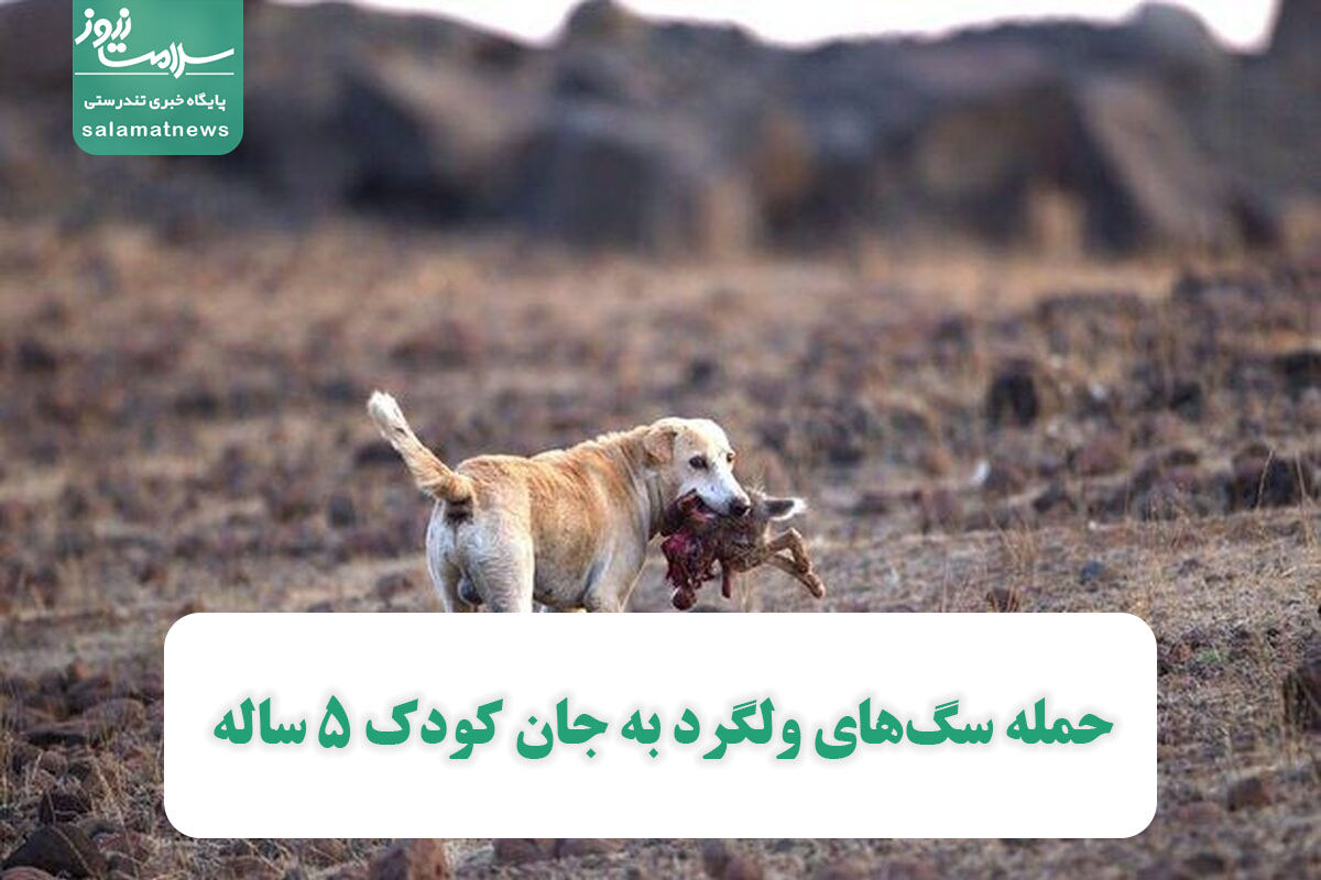 حمله سگهای ولگرد به جان کودک ۵ ساله حمله سگهای ولگرد به جان کودک ۵ ساله