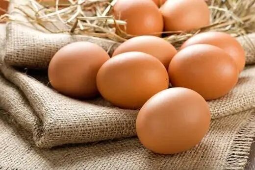 چگونگی محافظت از تخم‌مرغ برای جلوگیری از ابتلا به سالمونلا