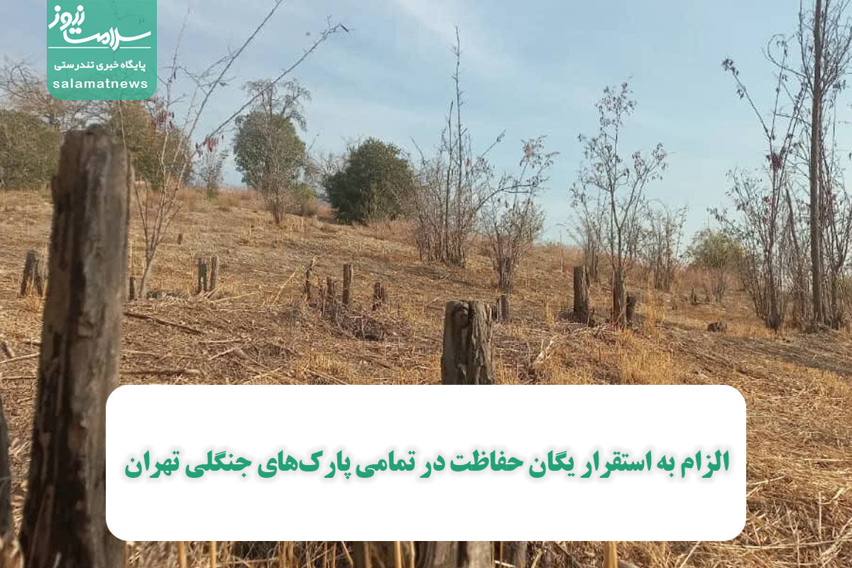 الزام به استقرار یگان حفاظت در تمامی پارک‌های جنگلی تهران