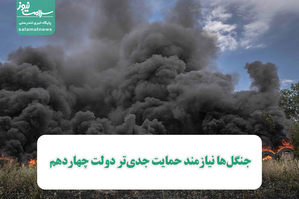 جنگلها نیازمند حمایت جدیتر دولت چهاردهم جنگلها نیازمند حمایت جدیتر دولت چهاردهم