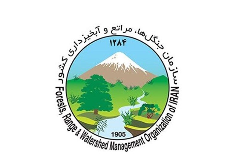 چگونگی توزیع بودجه 70 میلیاردی "طرح تنفس جنگل های شمال" چگونگی توزیع بودجه 70 میلیاردی "طرح تنفس جنگل های شمال"