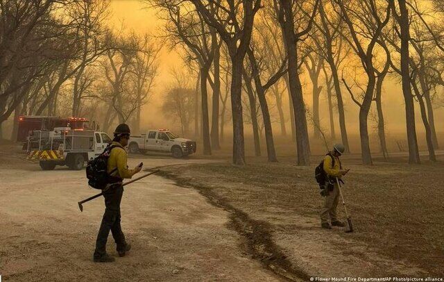 افزایش آتشسوزیهای جنگلی در جهان