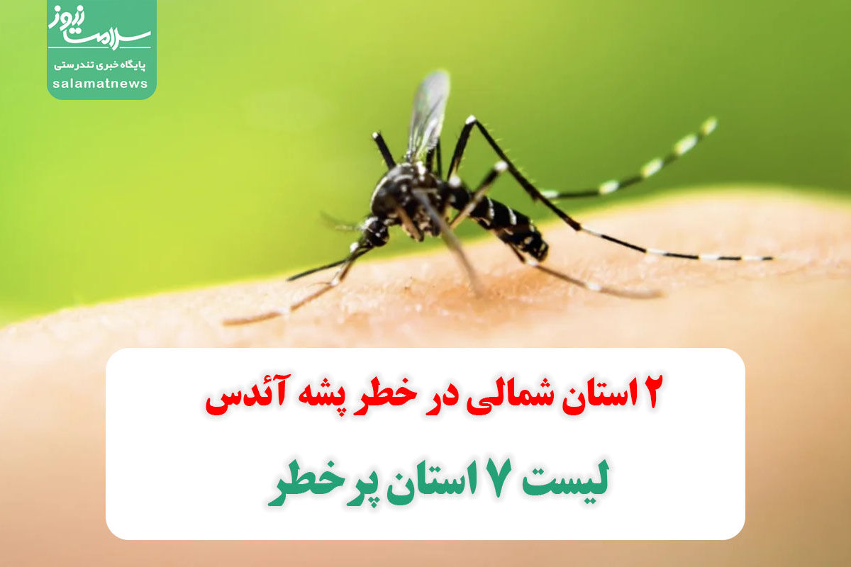 ۲ استان شمالی در خطر پشه آئدس؛ لیست ۷ استان پرخطر ۲ استان شمالی در خطر پشه آئدس؛ لیست ۷ استان پرخطر