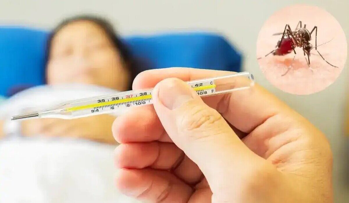 ارائه خدمات تشخیصی آزمایشگاهی تب دنگی در شبکههای آزمایشگاهی ارائه خدمات تشخیصی آزمایشگاهی تب دنگی در شبکههای آزمایشگاهی