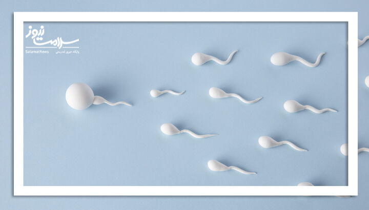 اسپرم چگونه احساس می شود؟ اسپرم چگونه احساس می شود؟