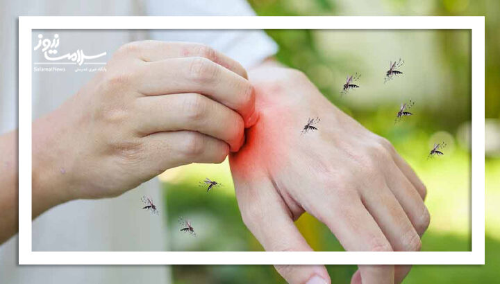 چرا پشهها برخی افراد را بیشتر نیش میزنند؟ چرا پشهها برخی افراد را بیشتر نیش میزنند؟