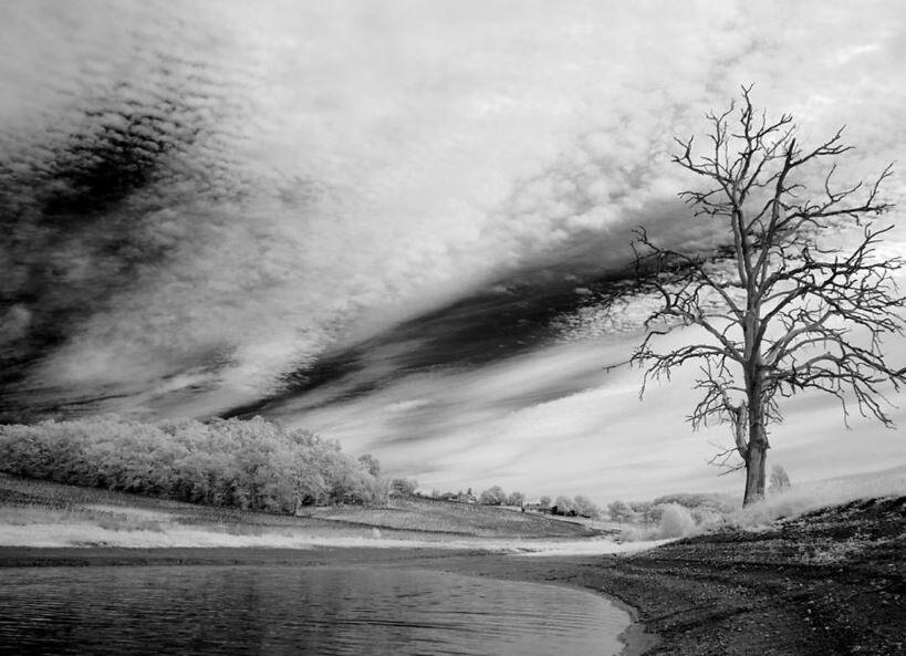 چگونه تغییرات آبوهوایی به افزایش جهانی بیماریها دامن میزند؟ چگونه تغییرات آبوهوایی به افزایش جهانی بیماریها دامن میزند؟