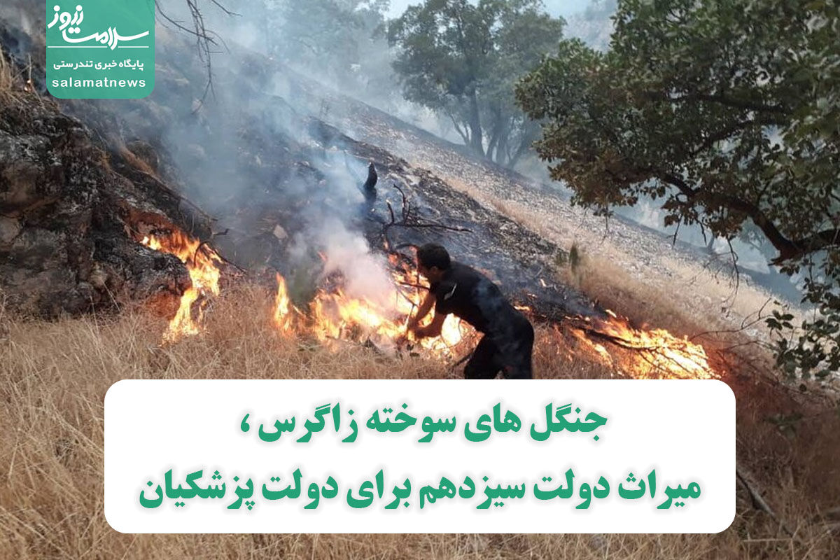 جنگل های سوخته زاگرس ، میراث دولت سیزدهم برای دولت پزشکیان جنگل های سوخته زاگرس ، میراث دولت سیزدهم برای دولت پزشکیان