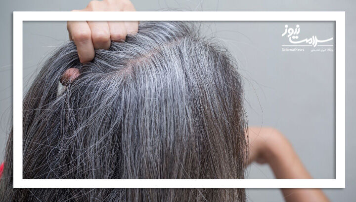 استفاده از چای سیاه برای تیره کردن موهای خاکستری استفاده از چای سیاه برای تیره کردن موهای خاکستری