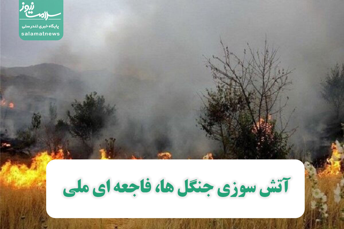 آتش سوزی جنگل ها، فاجعه ای ملی آتش سوزی جنگل ها، فاجعه ای ملی